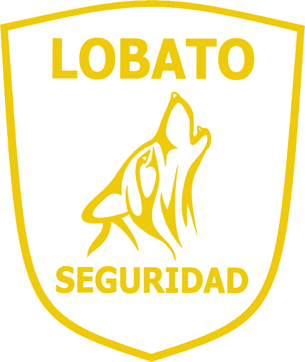 Logo de Academia Lobato