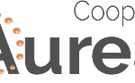 Aurea7 coop - Suport · Proves Accés