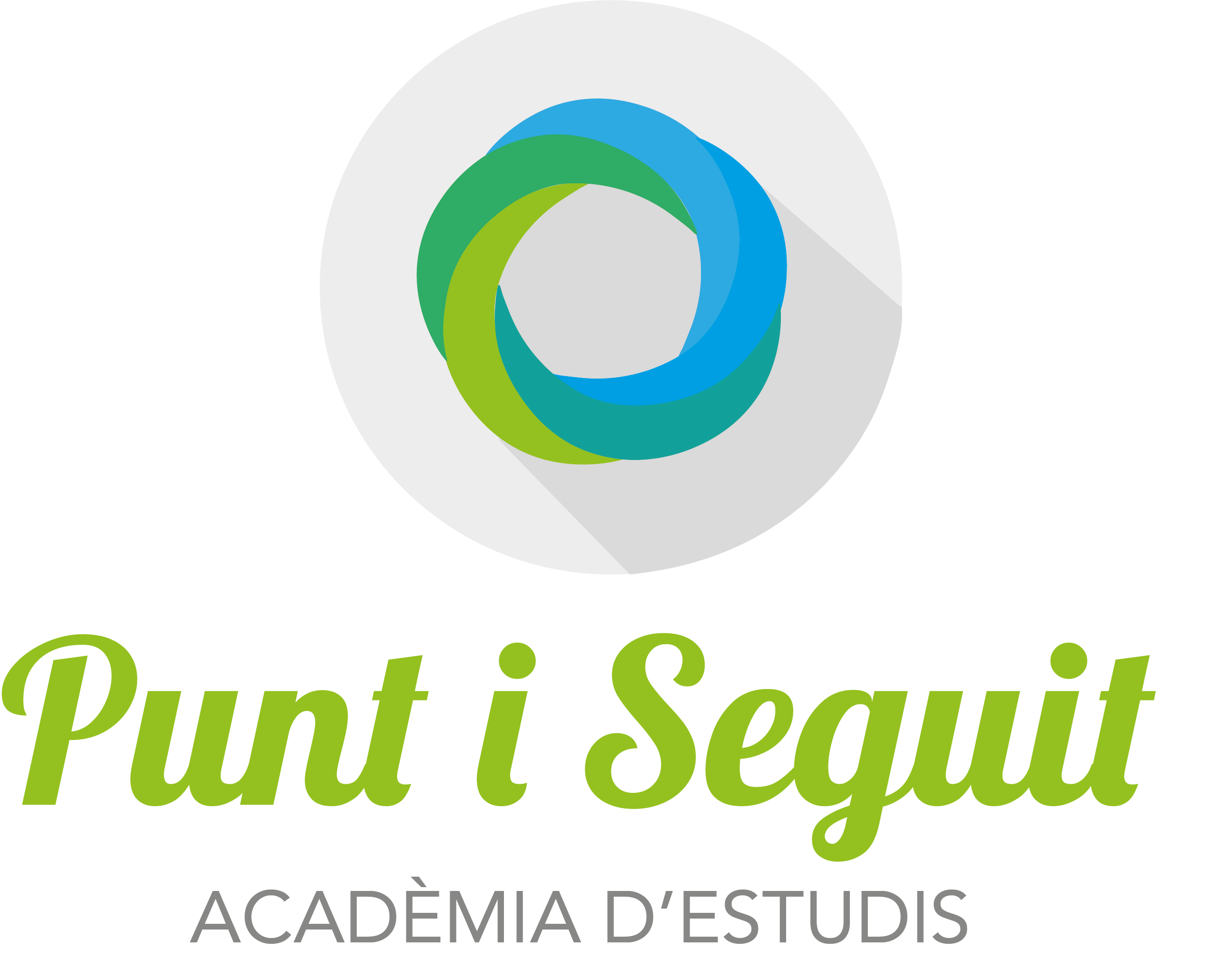 Punt i Seguit acadèmia d’estudis