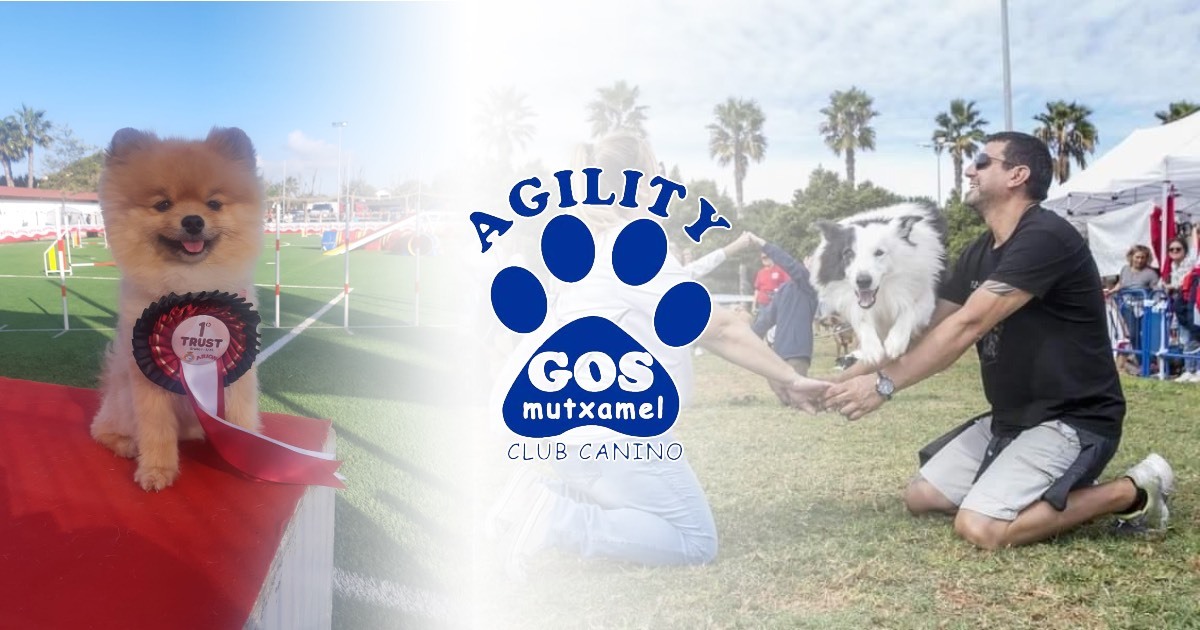 Logo de Agility Gos Muchamiel