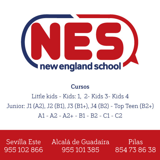 Logo de ACADEMIA NES