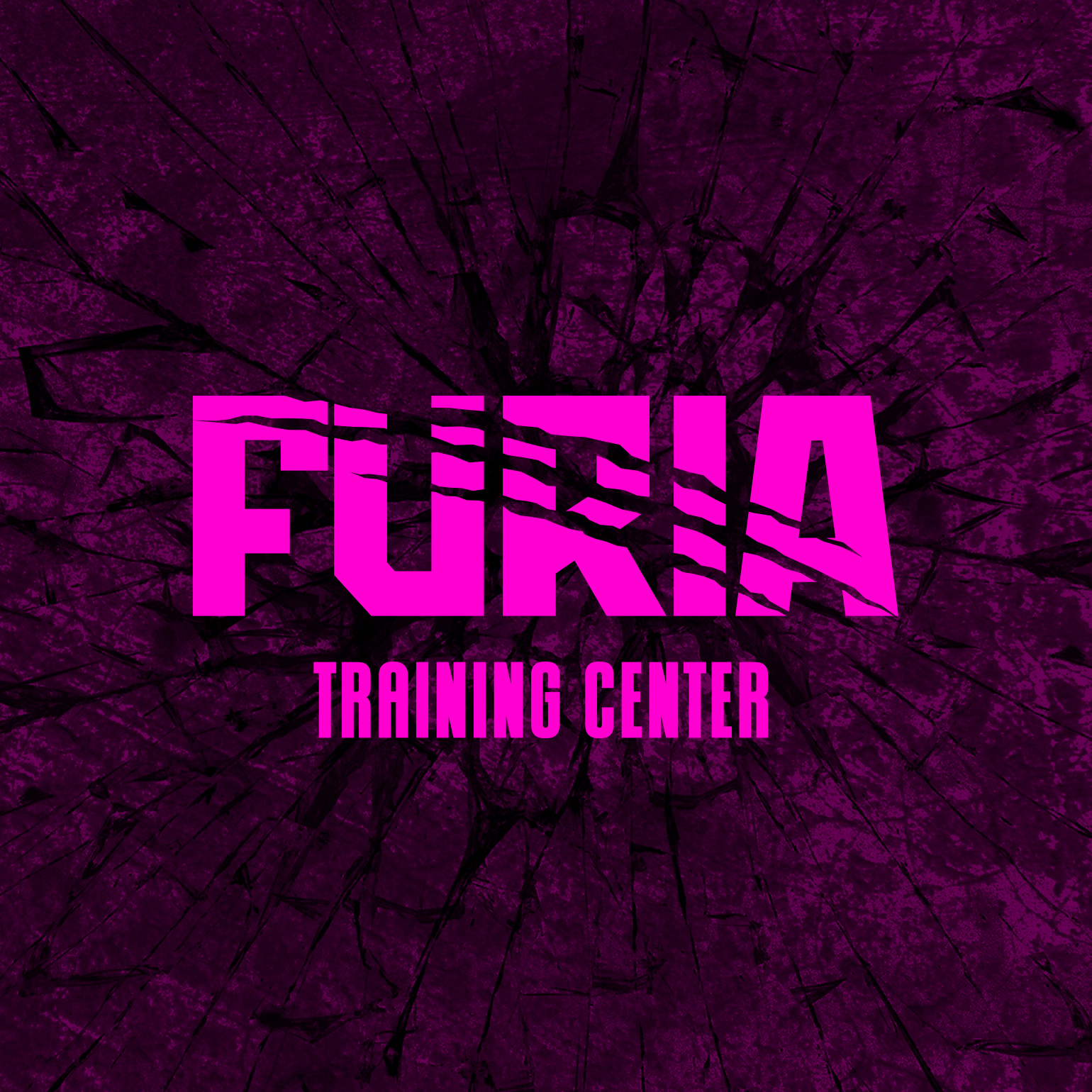 Furia Training Center