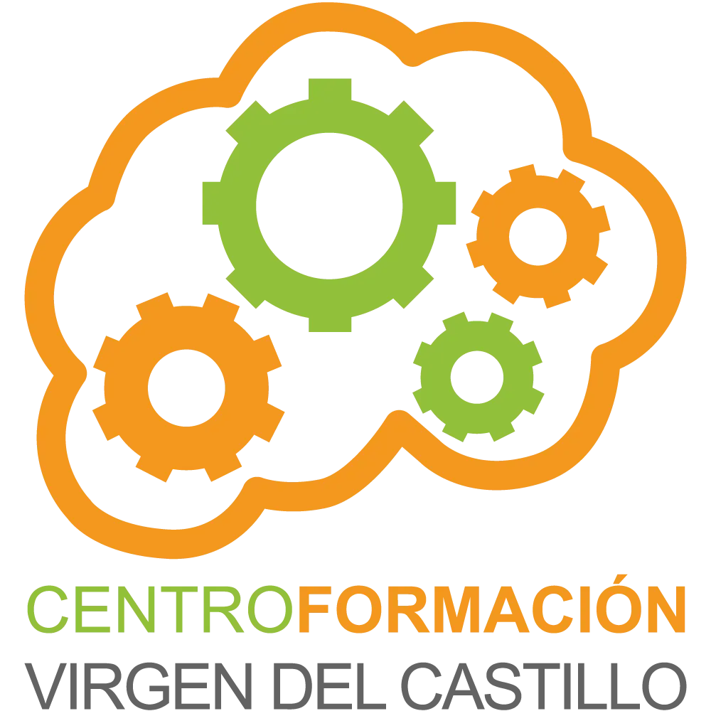 Centro de Formacion Virgen del Castillo S.L.