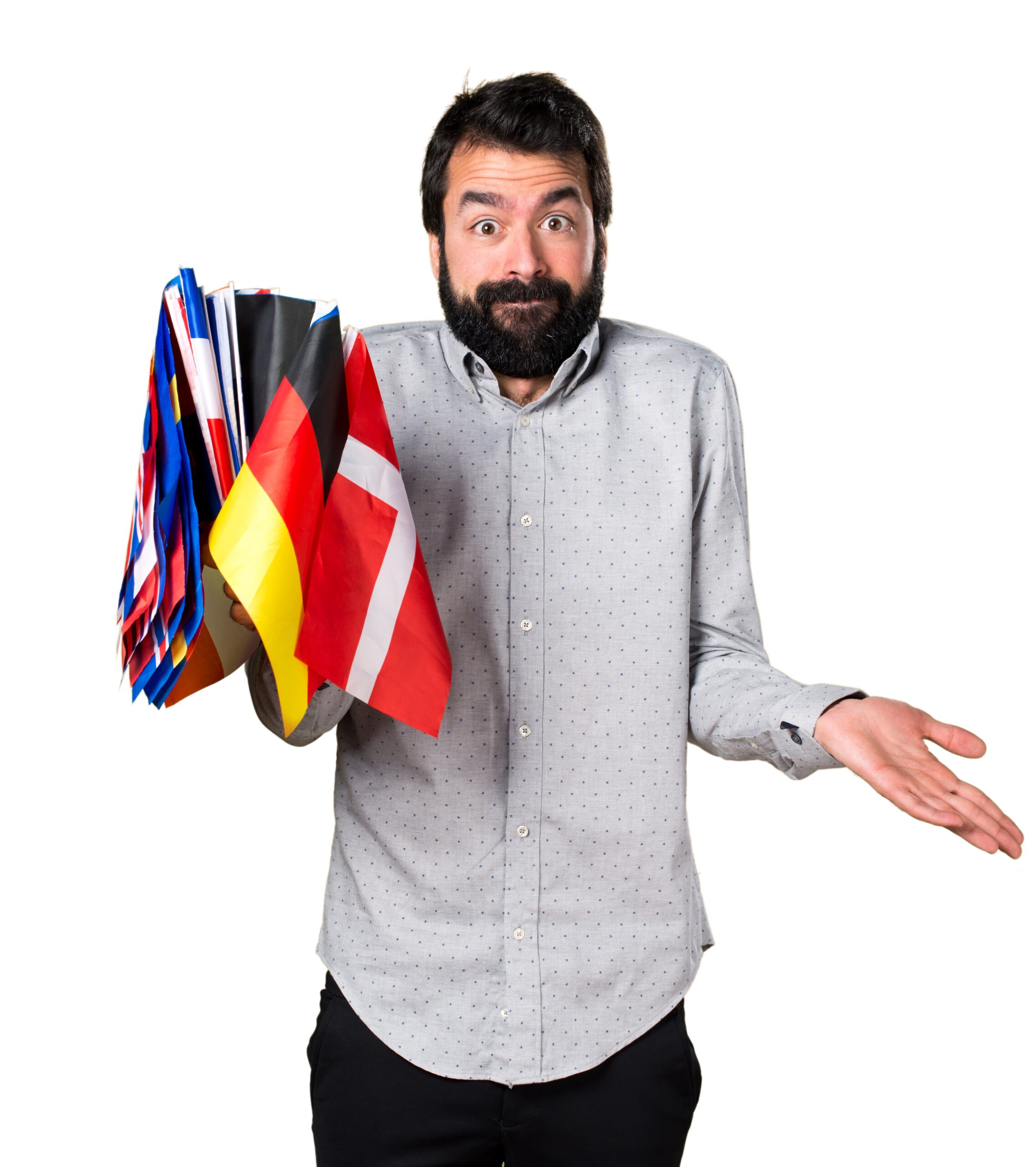 Logo de Berlingua Idiomas