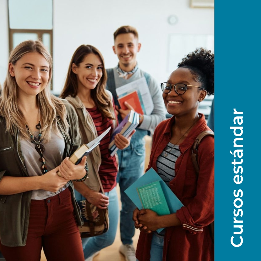 Logo de Lullabay Language School