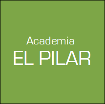 Academia El Pilar. ONLINE