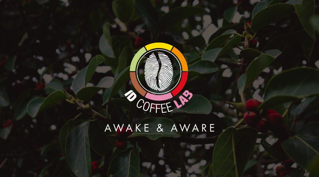 Idcoffeelab | Formación oficial SCA, Consultoría de Café de Especialidad