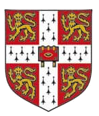 ENGLISH LINK SCHOOL