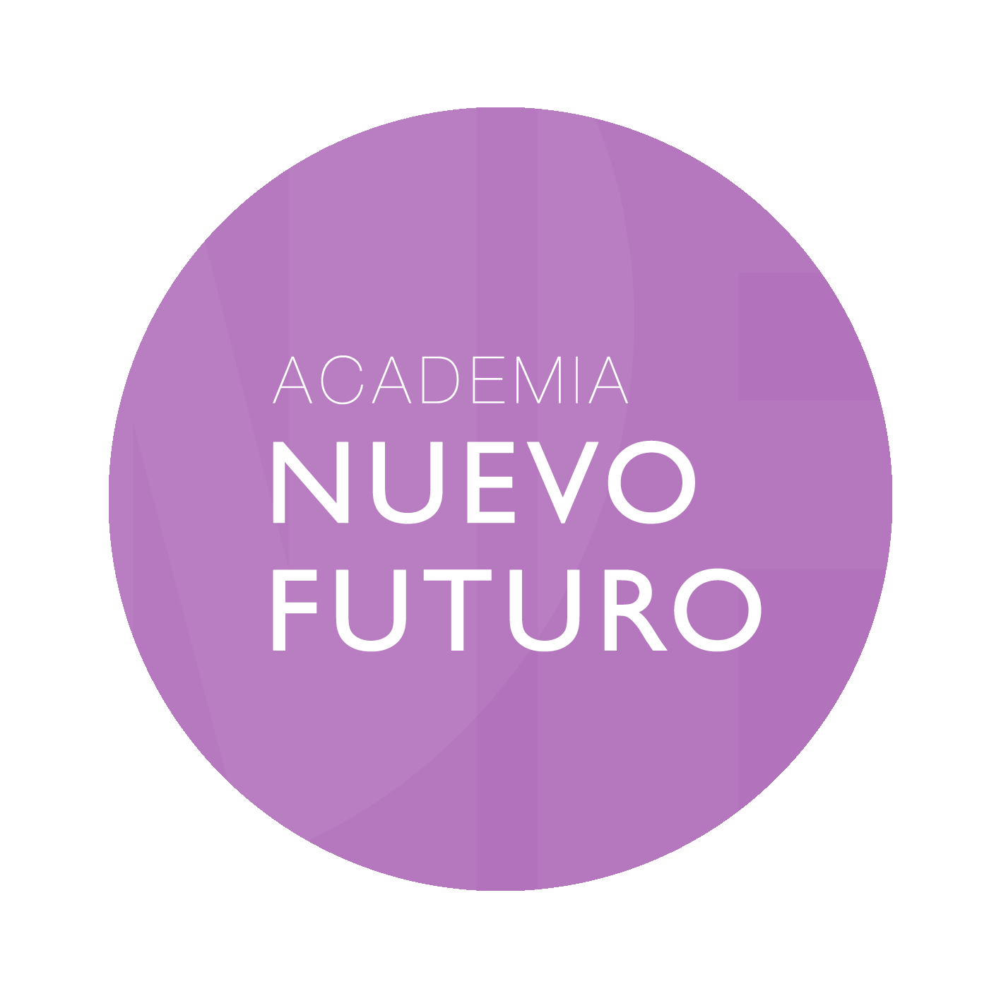 ACADEMIA NUEVO FUTURO (PAU - MAYORES DE 25 - PCE -BACHILLERATO)